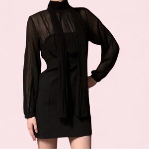 Elegant Black Sheer Dress